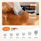 2.5L Professional Pet Grooming Vacuum