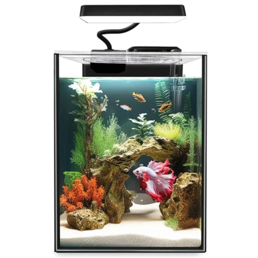 Glass Betta Aquarium Starter Kits 1.5 Gallon with LED Light