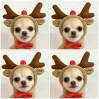 Cute Fruit Pet Hoodie Sweater – Warm Costume for Cats and Small Dogs