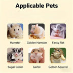 Starter Guinea Pig Cage with 6 Accessories