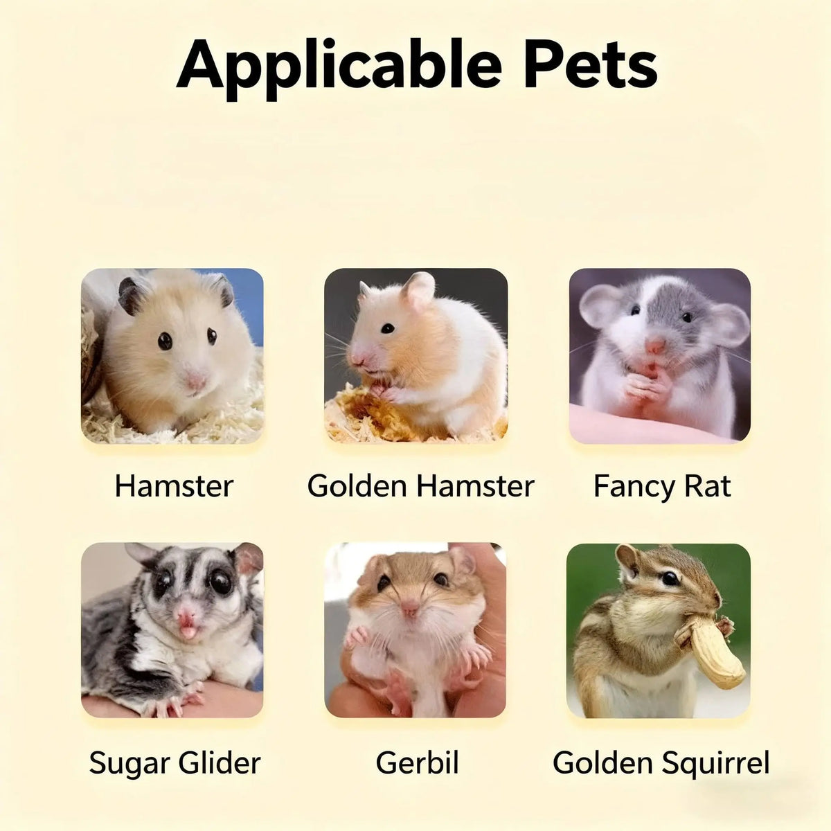 Starter Guinea Pig Cage with 6 Accessories