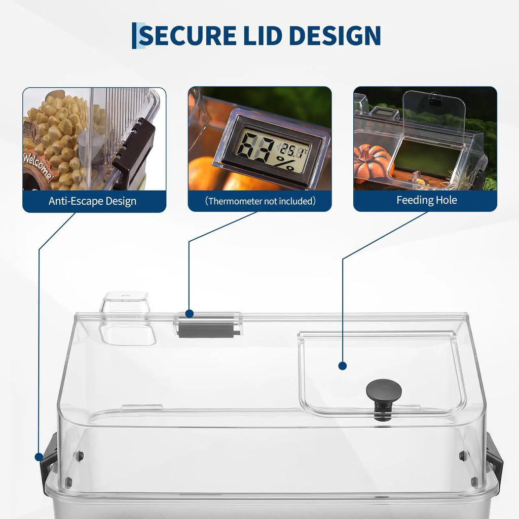 Small Reptile Terrarium Kit W/ Lid, Acrylic Tank, Heating Pad, For Gecko Lizard Tarantula Frog