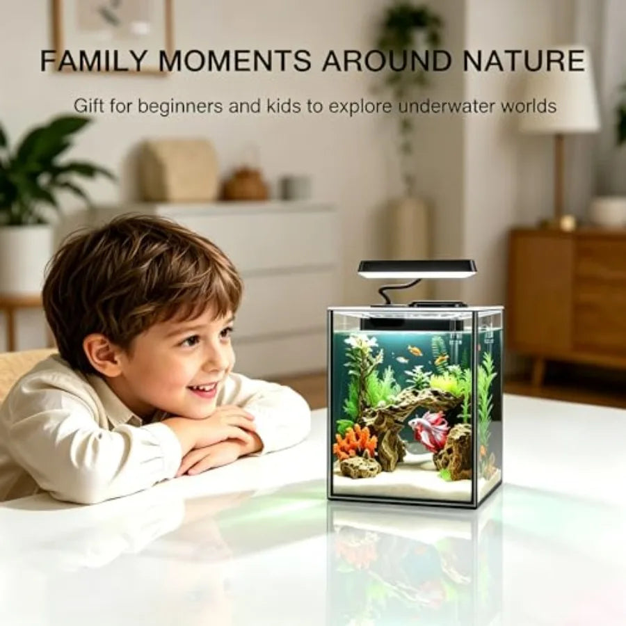 Glass Betta Aquarium Starter Kits 1.5 Gallon with LED Light