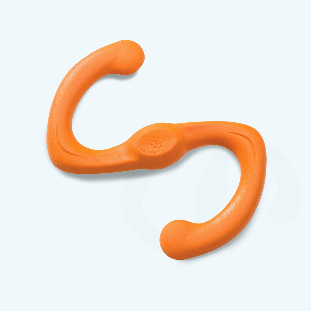 Bumi Fetching, Chewing Toy for Dogs