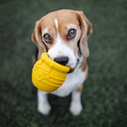 Honey Pot Dog eCup Treat Dispenser | Durable PUP-X Rubber Enrichment Toy