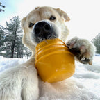 Honey Pot Dog eCup Treat Dispenser | Durable PUP-X Rubber Enrichment Toy