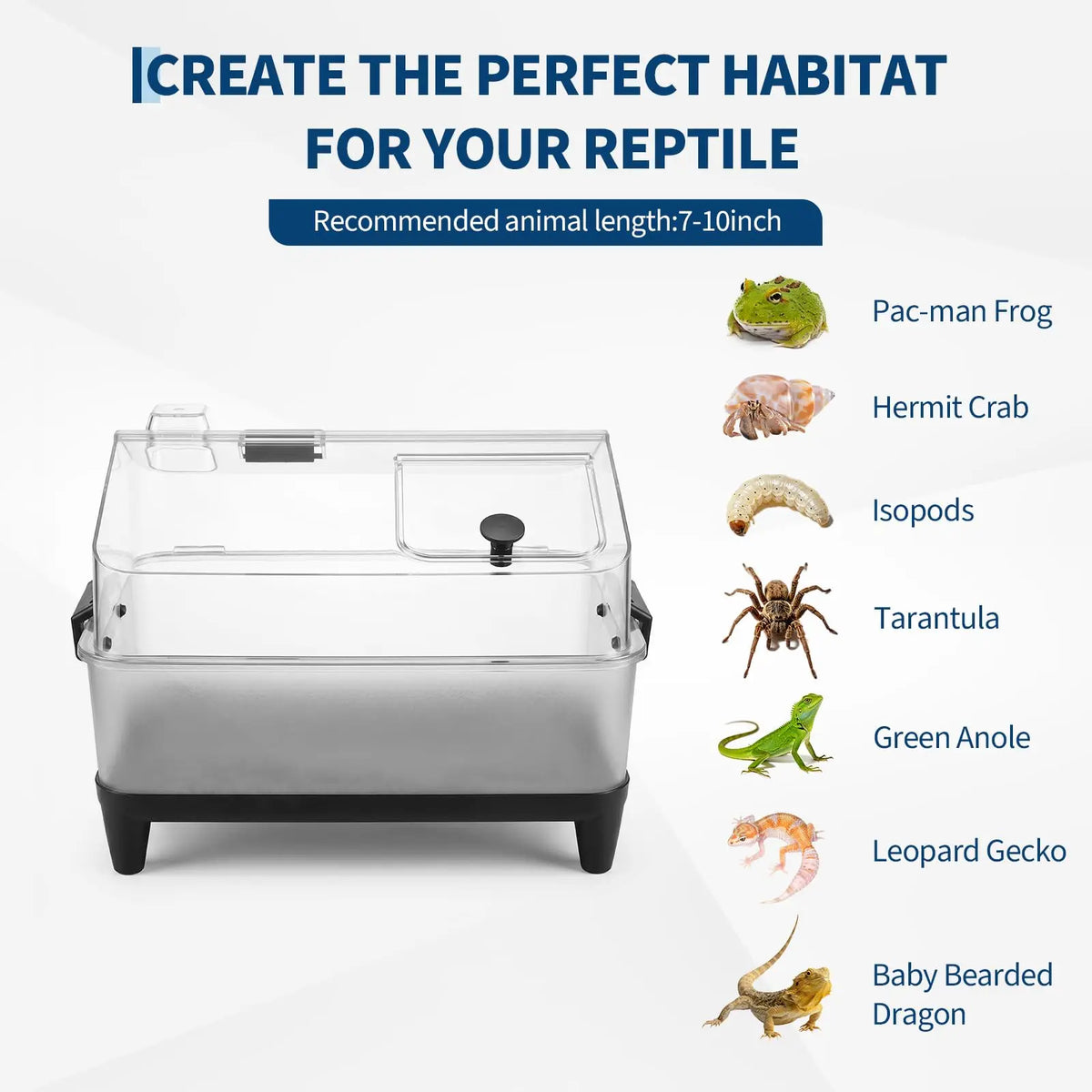 Small Reptile Terrarium Kit W/ Lid, Acrylic Tank, Heating Pad, For Gecko Lizard Tarantula Frog
