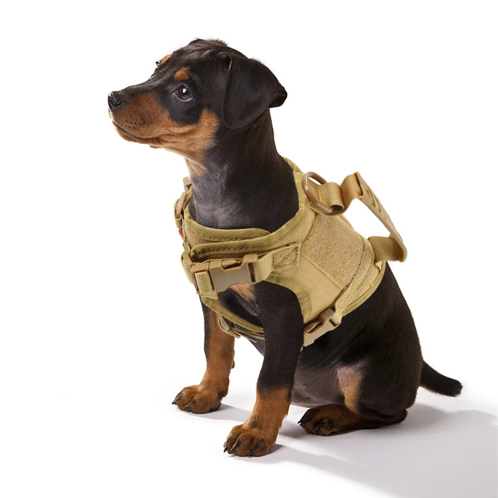 Tactical Puppy Harness Leash Set – Adjustable Military-Style Vest for Small Dogs & Cats