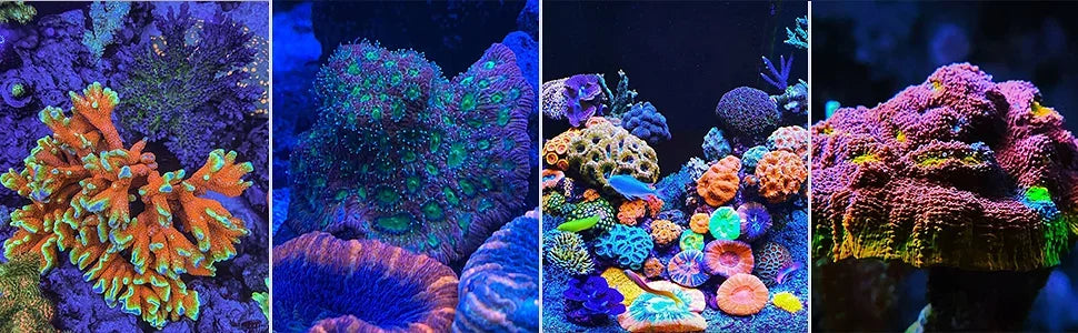 WiFi Led Aquarium Light Full Spectrum, Reef Light Aquarium Saltwater Coral Growing