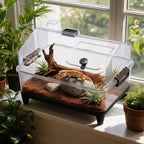 Small Reptile Terrarium Kit W/ Lid, Acrylic Tank, Heating Pad, For Gecko Lizard Tarantula Frog