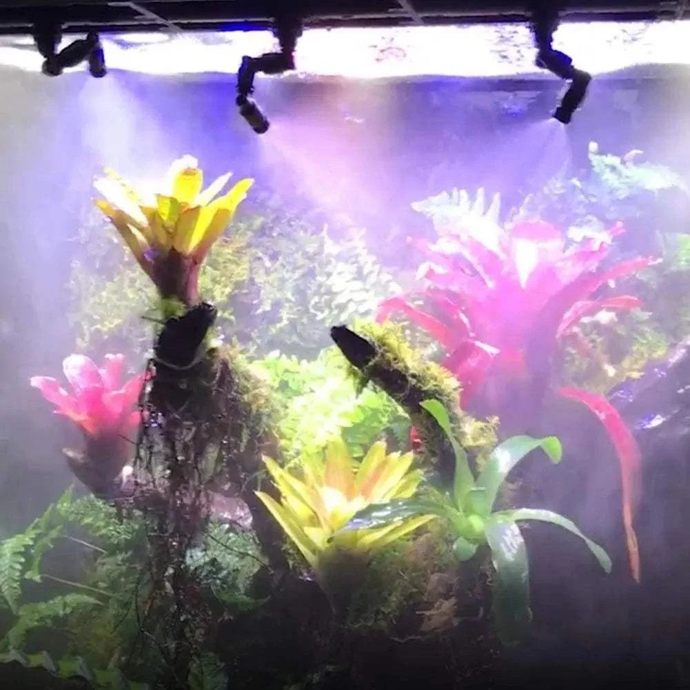 Adjustable Reptile Misting Nozzle Fogger for Terrariums, Greenhouses, Rainforest Enclosures