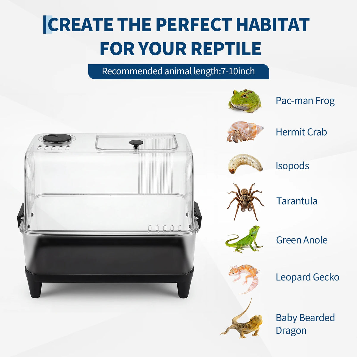 Reptile Tank Starter Kit, Terrarium, Small Reptile Habitat with Lid, Heating Pad, Hygrometer