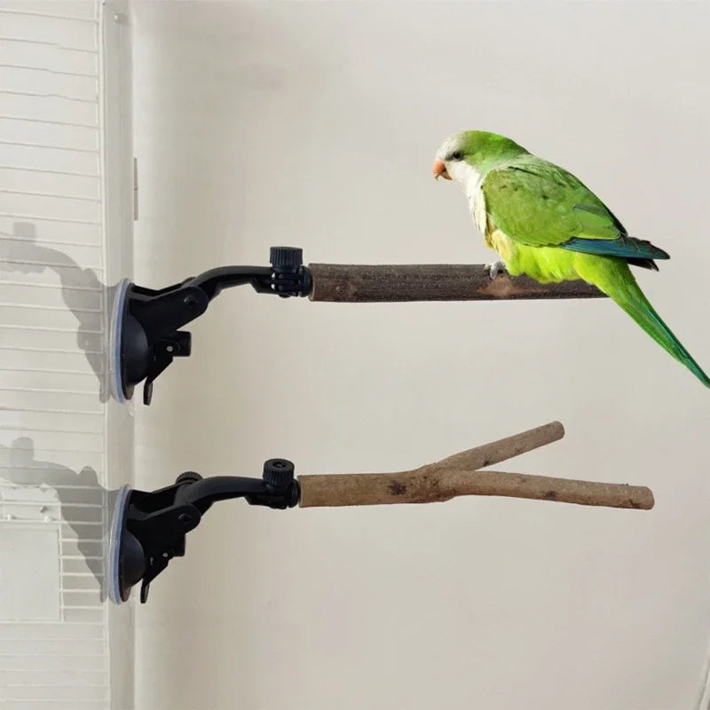 Parrot Perch Birdcage Accessories Wood Perch Suction Cup Bird Toy