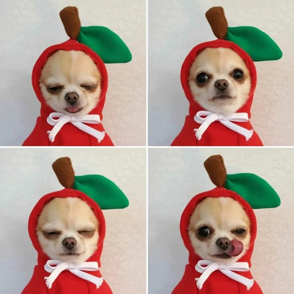 Cute Fruit Pet Hoodie Sweater – Warm Costume for Cats and Small Dogs
