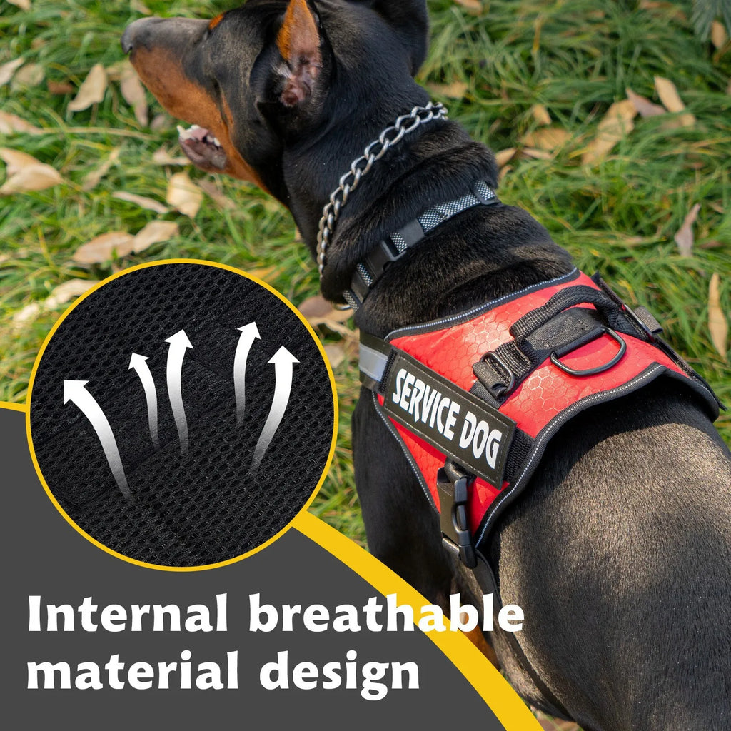 Chest Strap Harness Medium Large Border Collie Golden Hair Bucket Explosion proof Harness