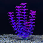 1PC Simulated Aquatic Plants Fish Tank Decoration, Landscaping Seagrass Ornaments
