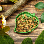 Reptile Leaf Shape Dish Flat Water Plate for Lizards Young Bearded Dragons Chameleon Small Snakes Water Plate for Turtle Lizards