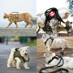 Tactical Puppy Harness Leash Set – Adjustable Military-Style Vest for Small Dogs & Cats