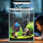 Glass Betta Aquarium Starter Kits 1.5 Gallon with LED Light