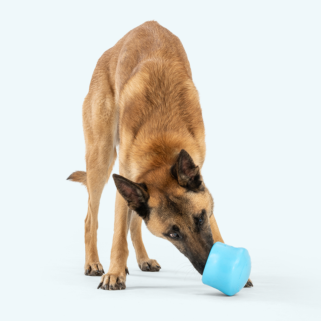 Toppl Fetching Toy for Dogs