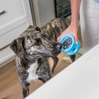 Toppl Fetching Toy for Dogs