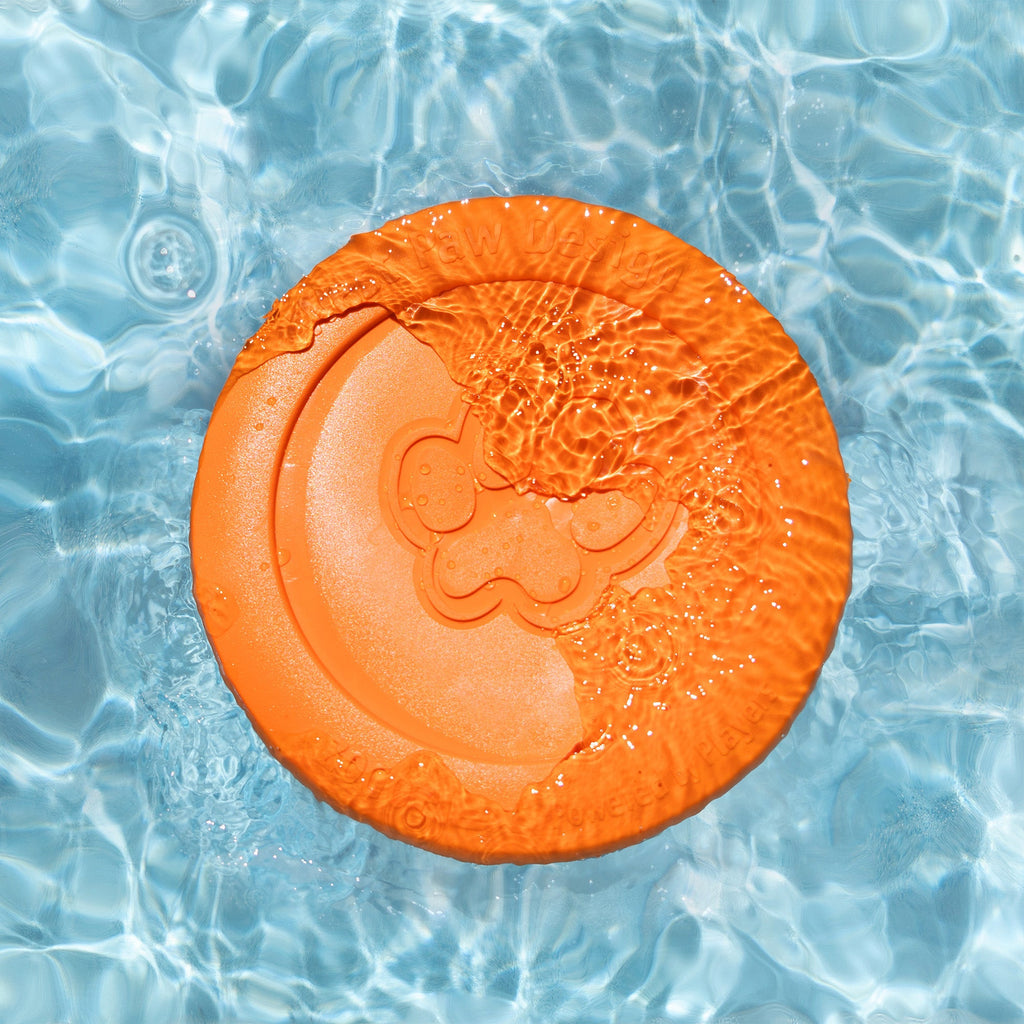 Zisc Chewing Toy for Dogs