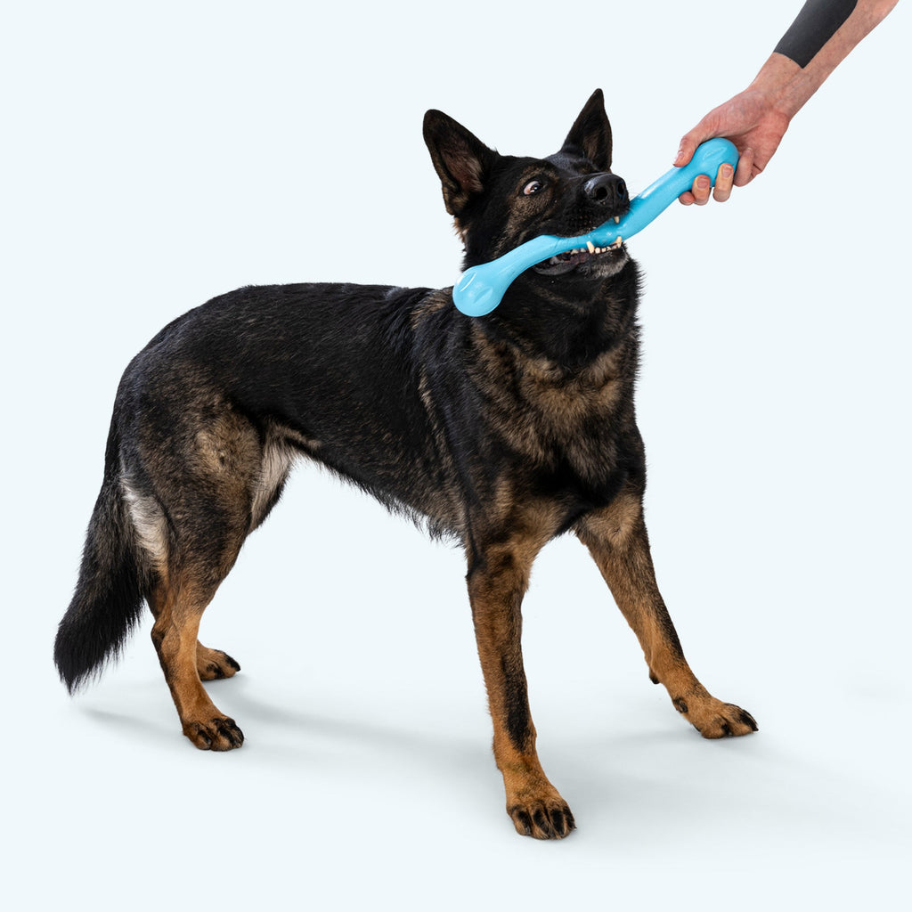 Zwig F for Dogsetching Toy
