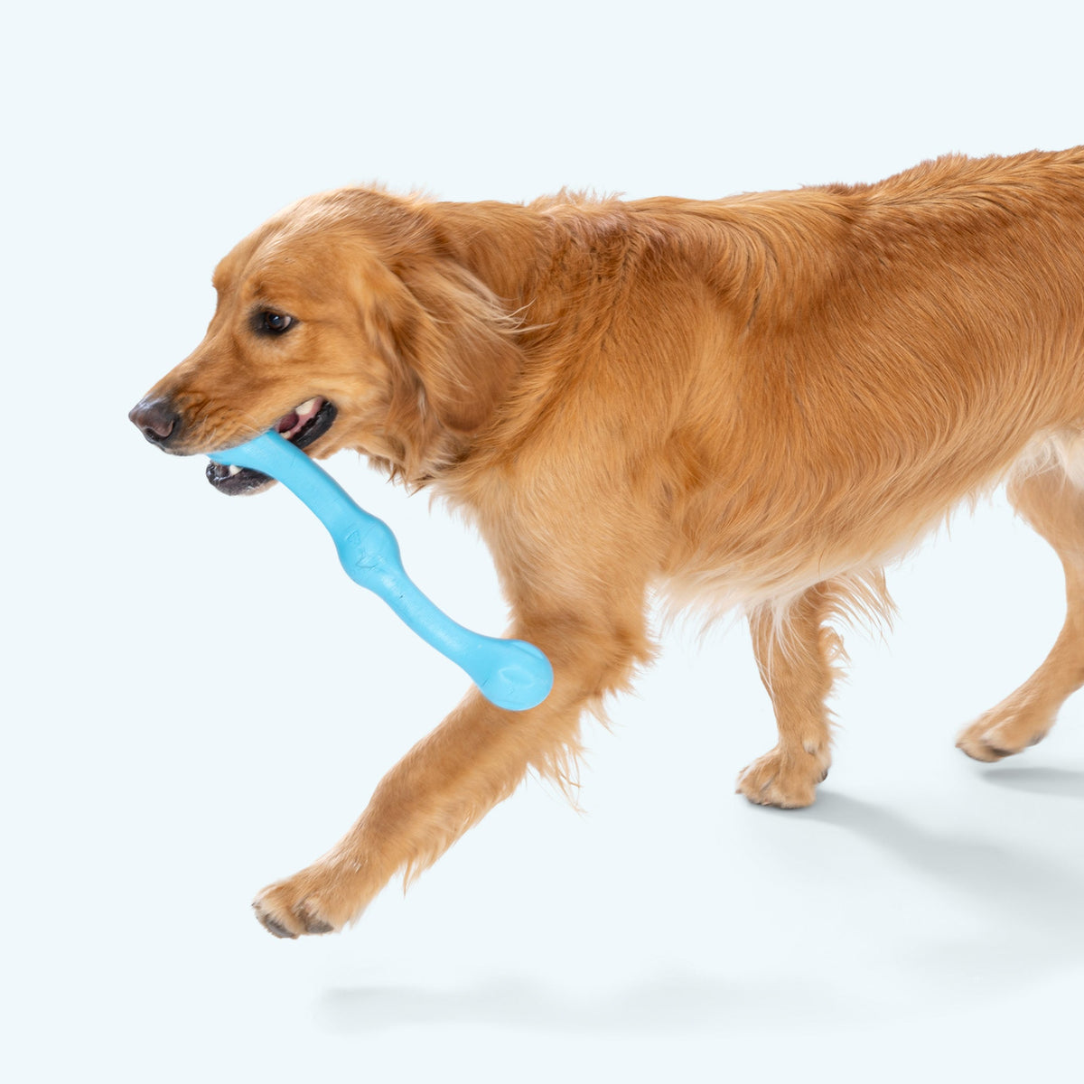 Zwig F for Dogsetching Toy