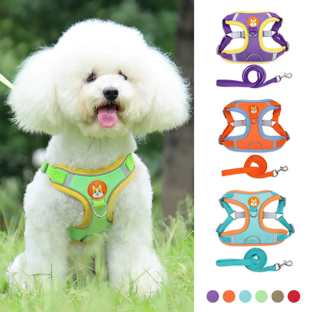 Dog Leash And Harness Set Pet Dog Harness And Leash Set Adjustable Puppy Cat Harness