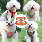 Dog Leash And Harness Set Pet Dog Harness And Leash Set Adjustable Puppy Cat Harness