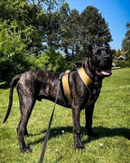 BESTIA DOG SPORT GripPro Heavy Duty Harness