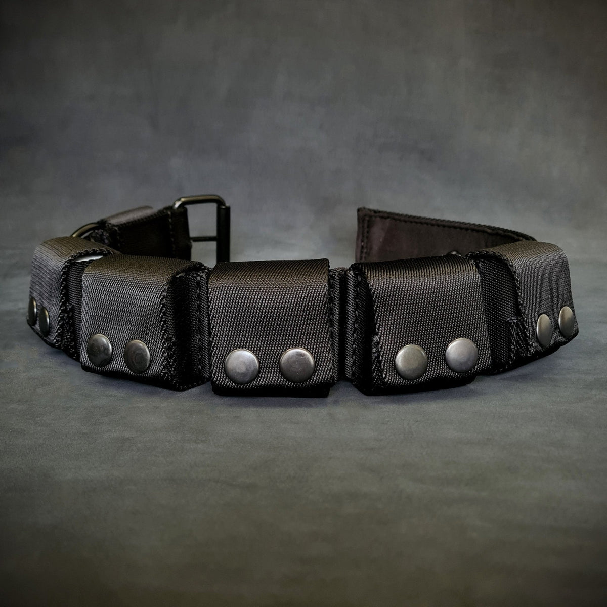BESTIA DOG SPORT Weighted Dog Training Collar