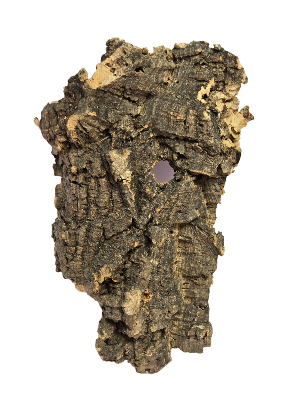 Cork Bark for Terrariums