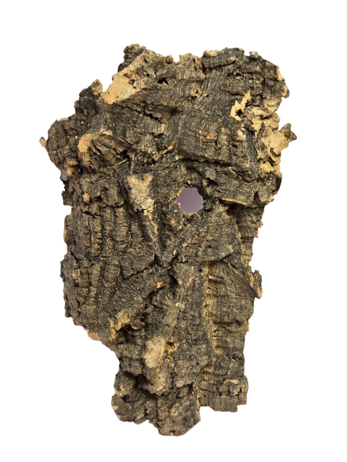 Cork Bark for Terrariums