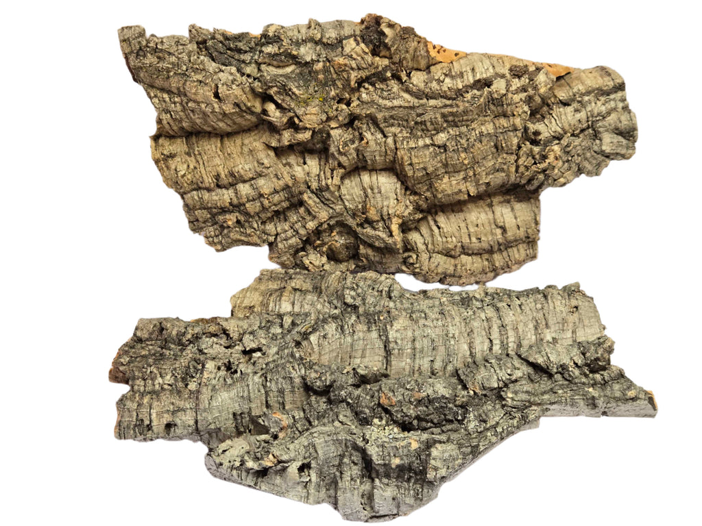 Cork Bark for Terrariums
