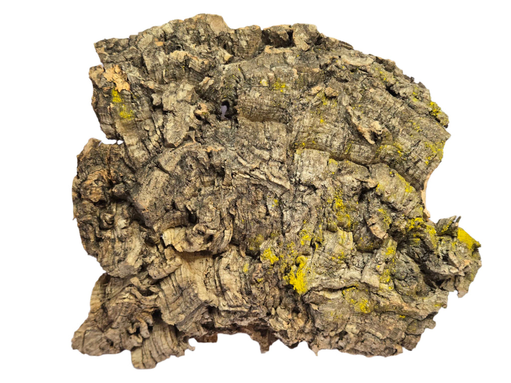 Cork Bark for Terrariums