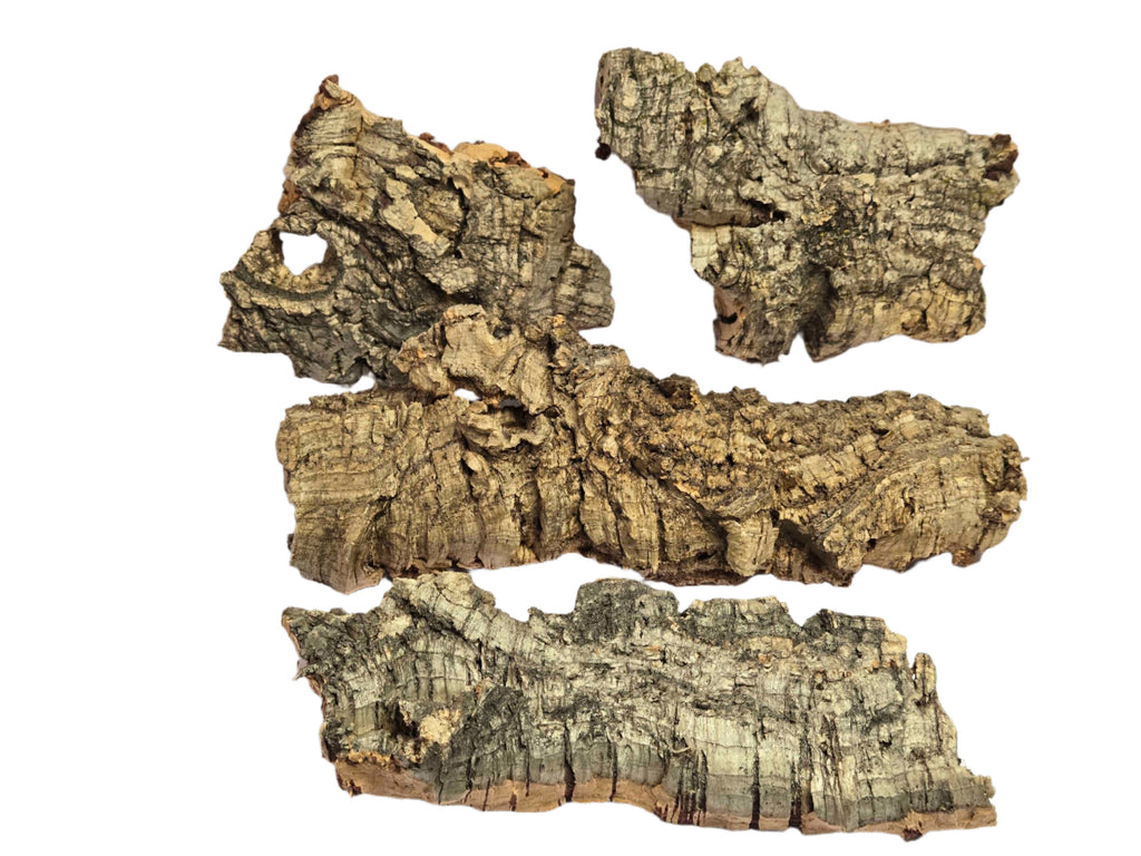 Cork Bark for Terrariums