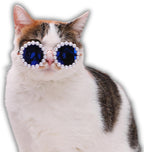 Cat And Dog Pearl Sunglasses - Pet Extravagant Funny Costumes For Party