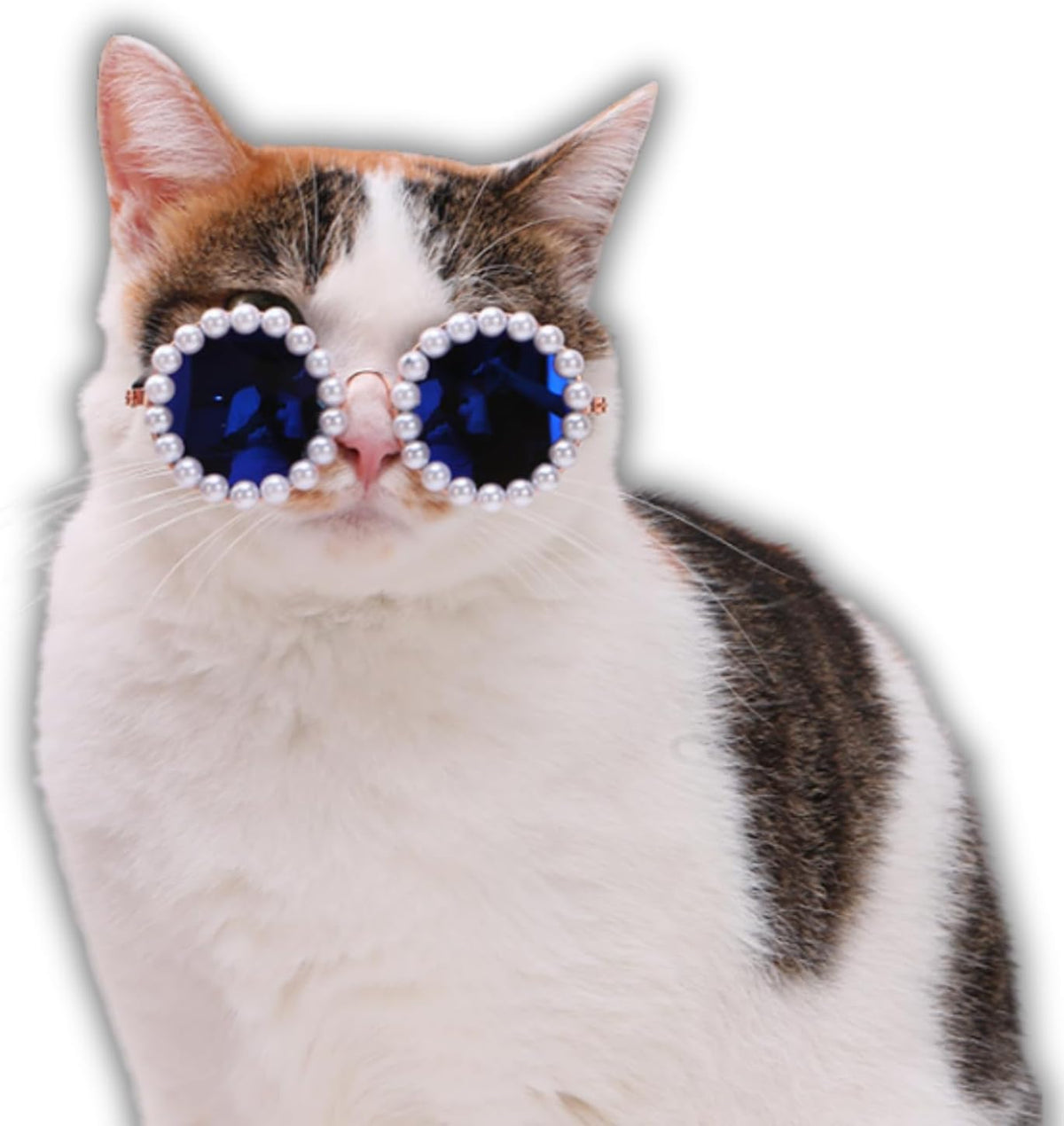 Cat And Dog Pearl Sunglasses - Pet Extravagant Funny Costumes For Party