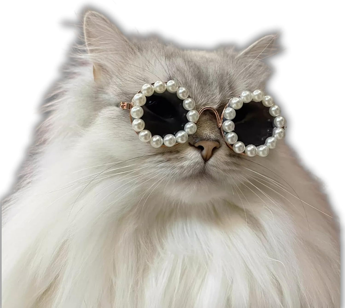 Cat And Dog Pearl Sunglasses - Pet Extravagant Funny Costumes For Party