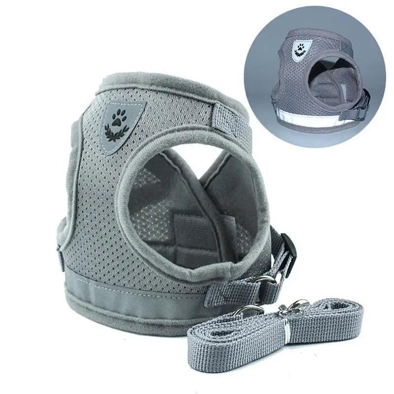 Dog Harness and Leash Set For  Small Medium Dogs Nylon Mesh Puppy Cat Harnesses