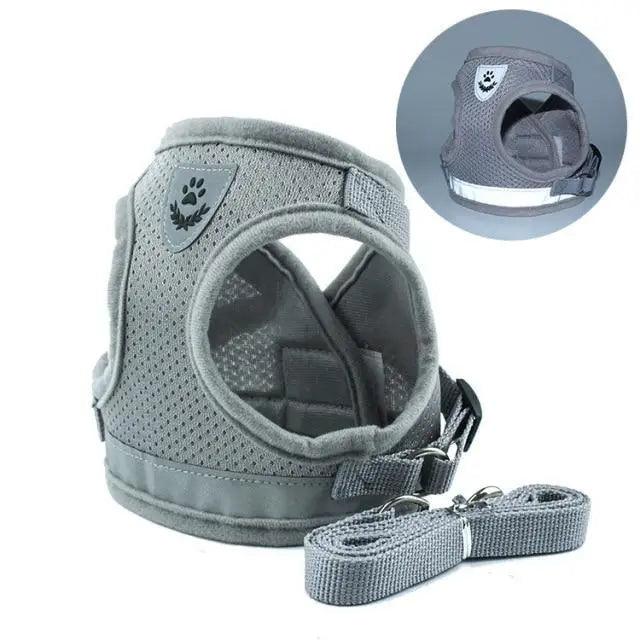 Dog Harness and Leash Set For  Small Medium Dogs Nylon Mesh Puppy Cat Harnesses