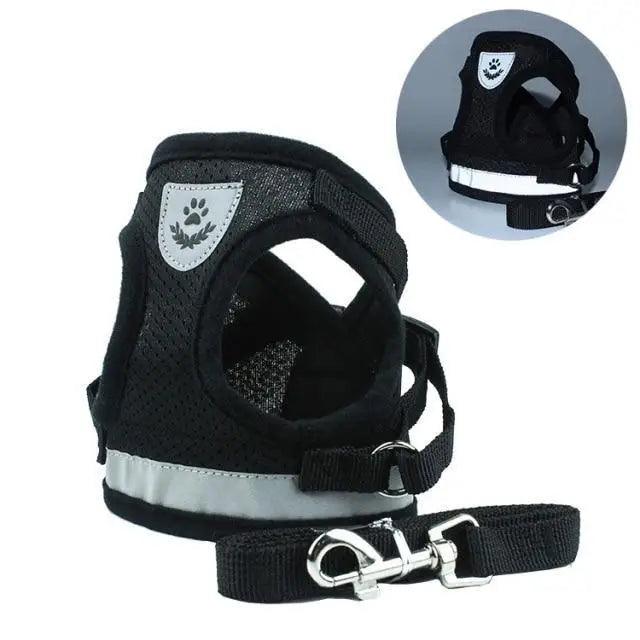 Dog Harness and Leash Set For  Small Medium Dogs Nylon Mesh Puppy Cat Harnesses