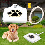Dog Water Fountain