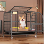 Detached Home Indoor Fenced Corgi Kennel