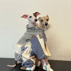 Dog Clothes Autumn Winter Thickened Warm Sporty Style Four-Leg Base Layer
