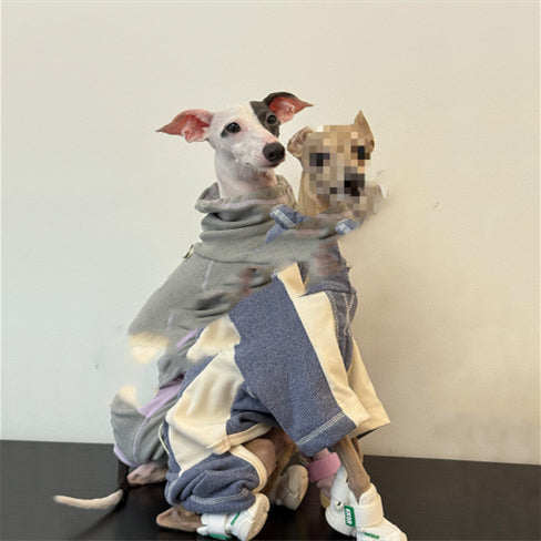 Dog Clothes Autumn Winter Thickened Warm Sporty Style Four-Leg Base Layer