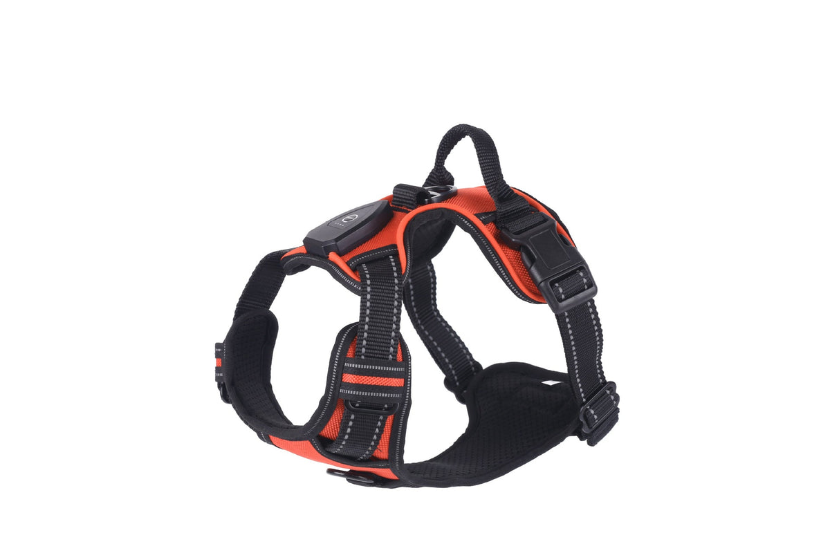 LED Luminous Night Walking Dog Car Accident Prevention Adjustable Flash Dogs Cats Vest