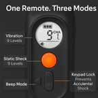 Dog Training Collar IP65 Waterproof with 3 Channels