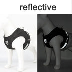 Reflective Cat Harness and Leash for Every Adventure